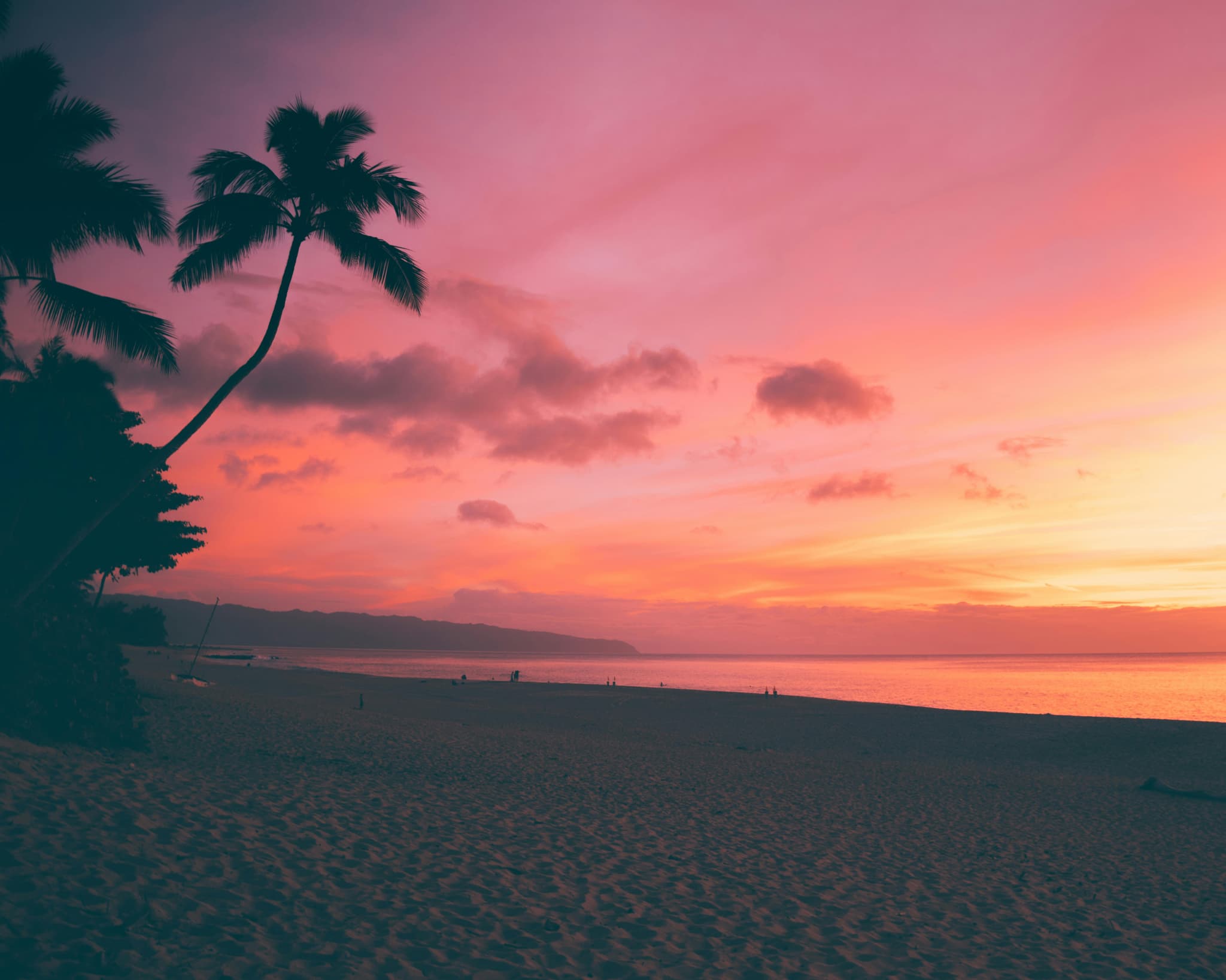 Photo of a red and pink Hawaiian bordered by a dark beach and palm trees.